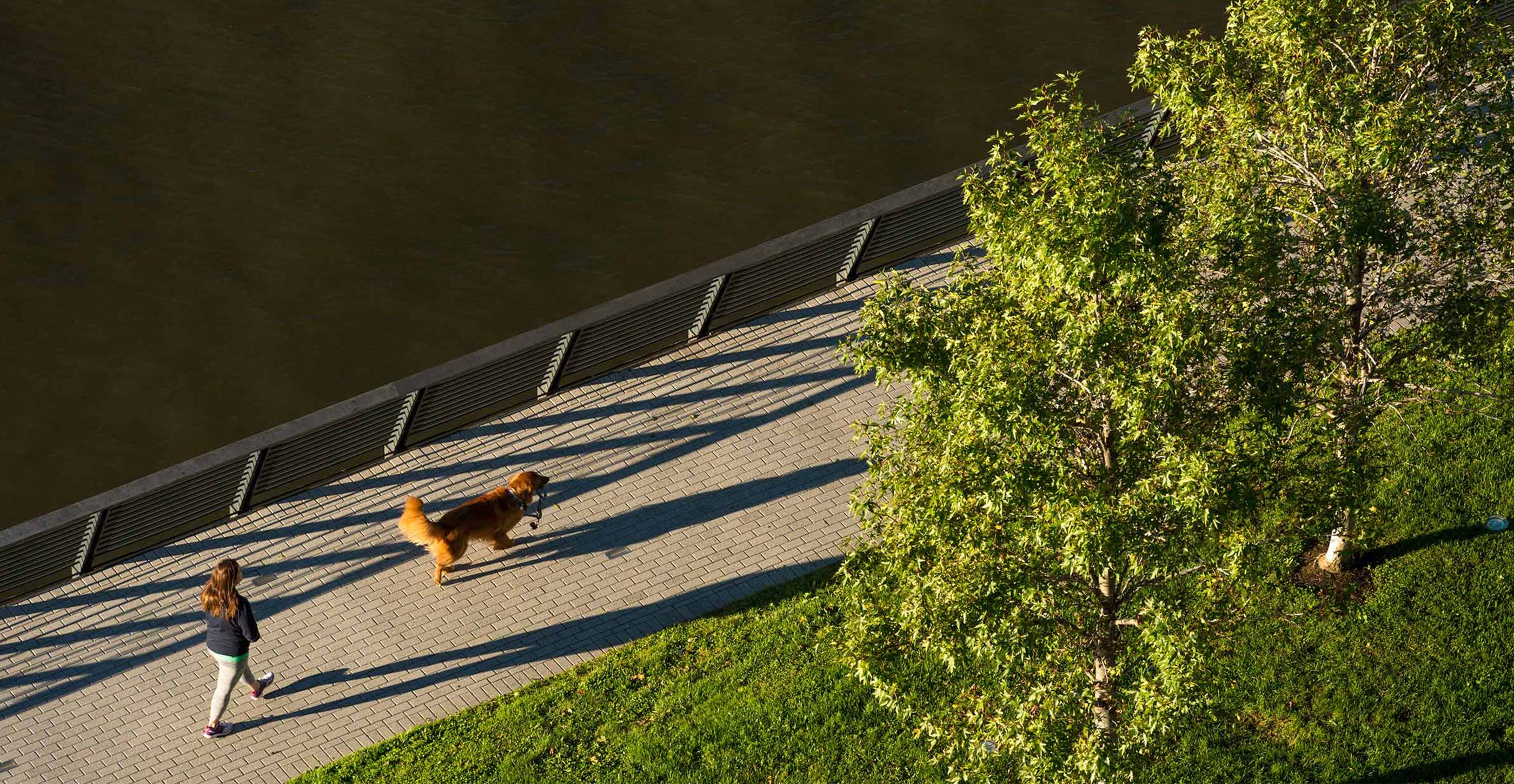 Woman and Dog Walking Near The River